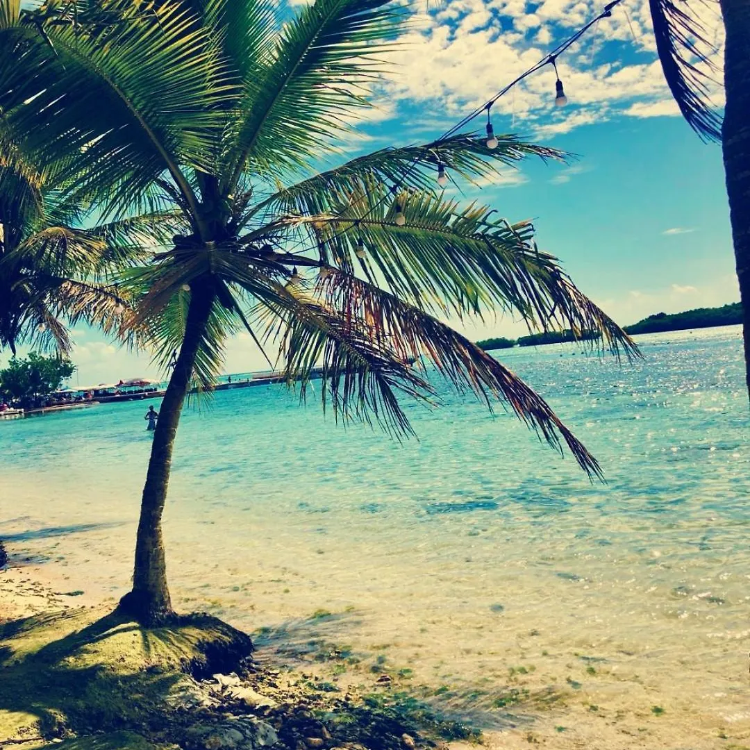 Cozy & Spacious Apartament Boca Chica Beach 0*,  Dominicaanse Republiek