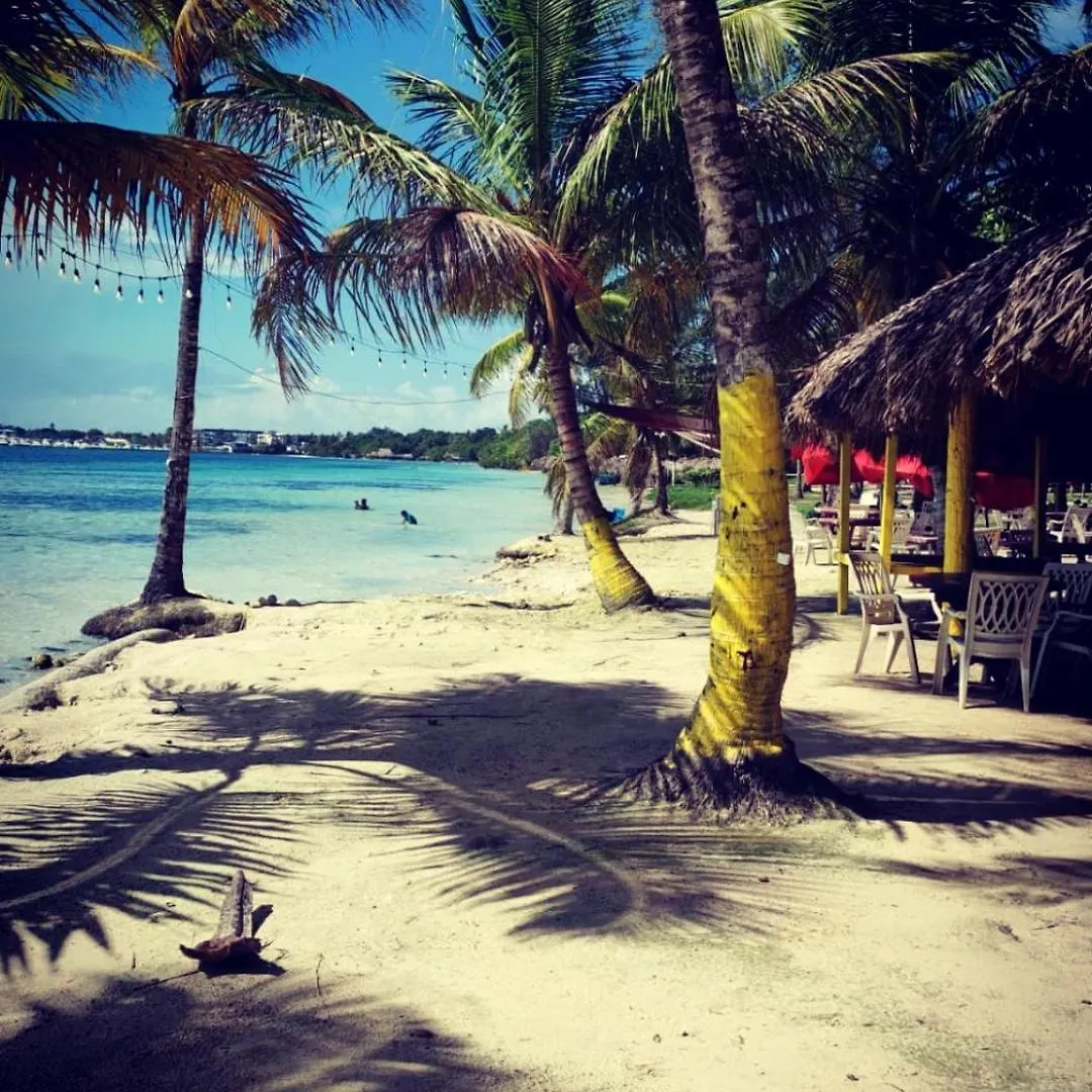 דירה Cozy & Spacious Apartament Boca Chica Beach